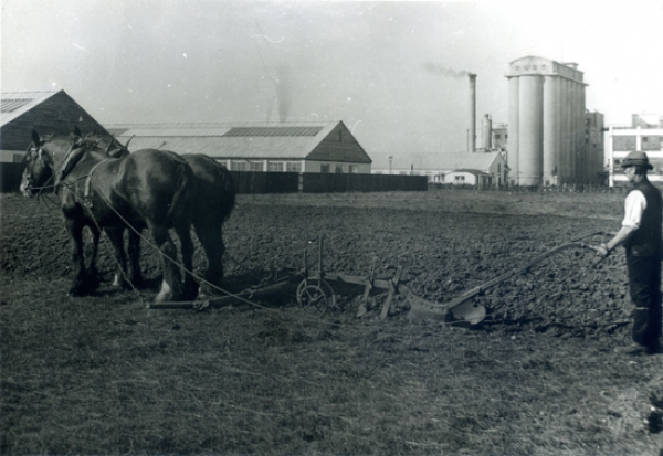 Ploughing on what will become British Lead Mills site